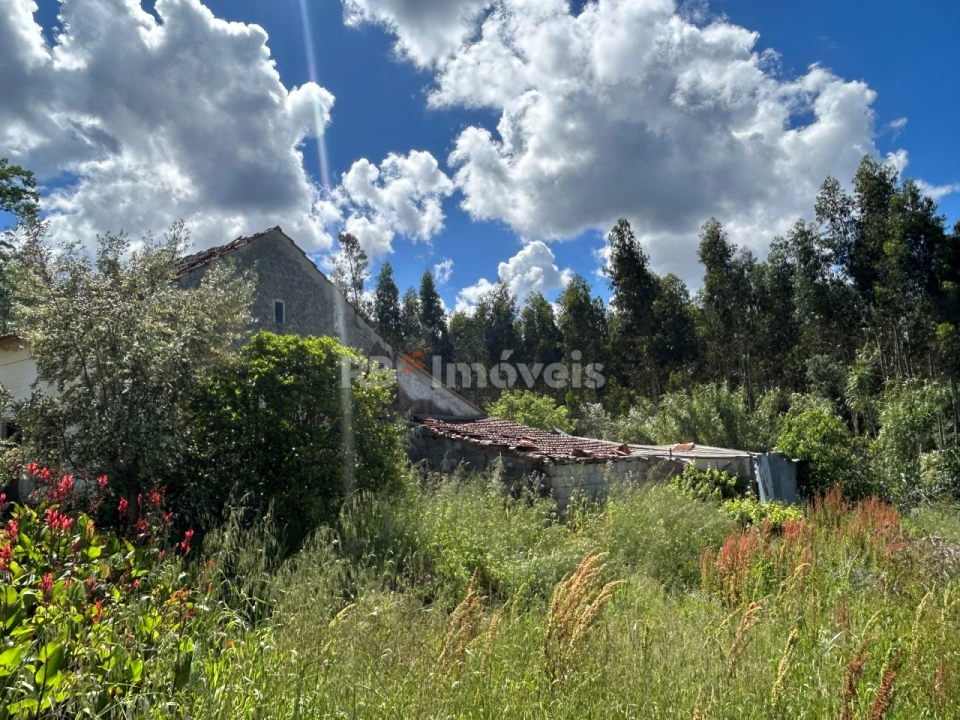 Quinta T2 para Venda em Areias e Pias Foto 5