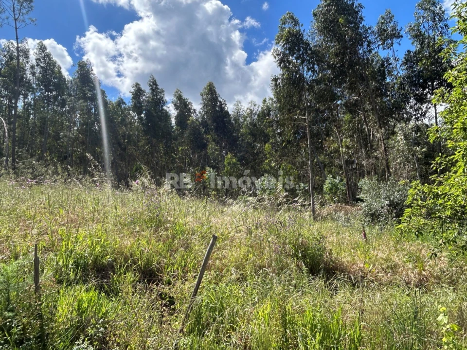 Quinta T2 para Venda em Areias e Pias Foto 13