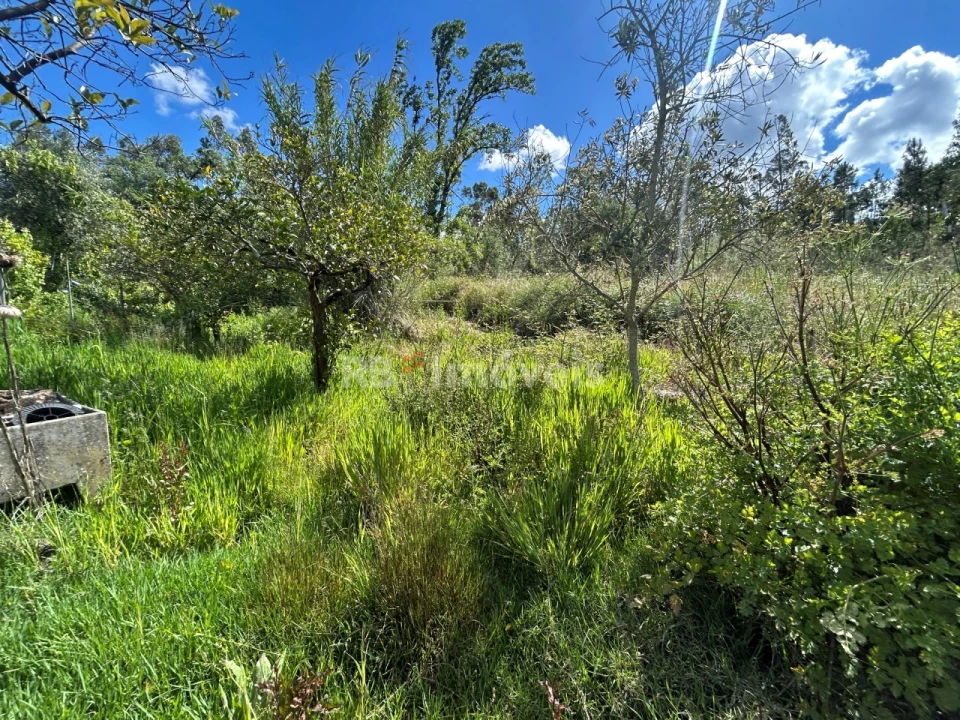 Quinta T2 para Venda em Areias e Pias Foto 15