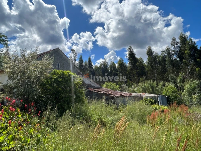 Quinta T2 para Venda em Areias e Pias Foto 5