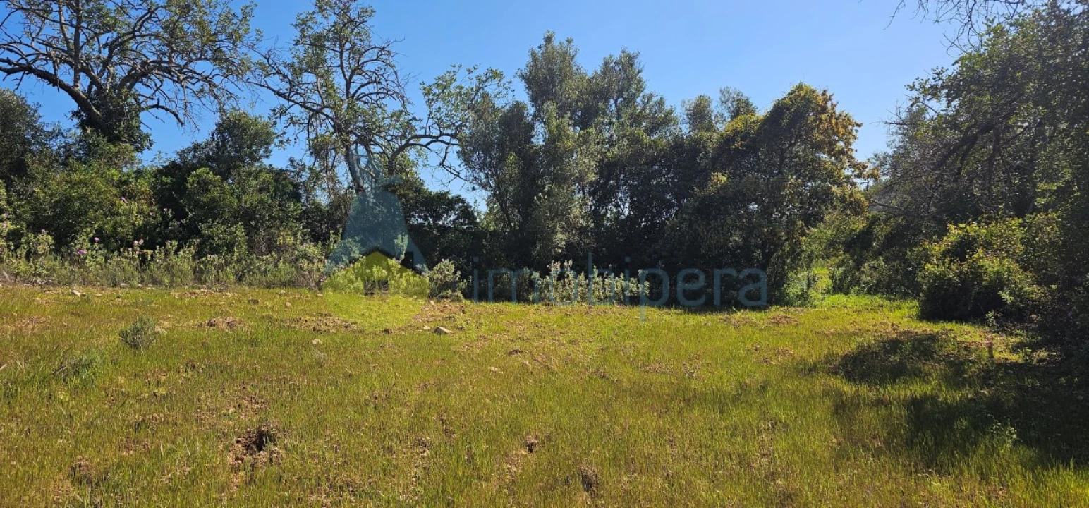 Terreno Agricola ou Rústico para Venda em Paderne Foto 2