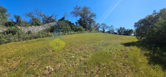 Terreno Agricola ou Rústico para Venda em Paderne