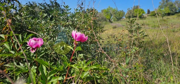 Terreno Agricola ou Rústico para Venda em Paderne