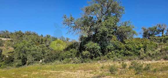 Terreno Agricola ou Rústico para Venda em Paderne