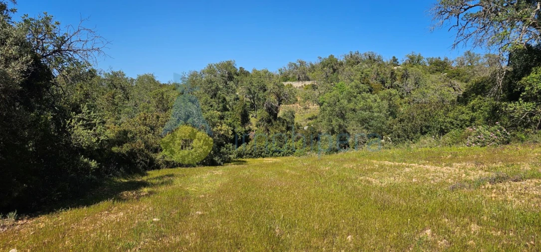Terreno Agricola ou Rústico para Venda em Paderne Foto 4