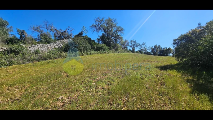 Terreno Agricola ou Rústico para Venda em Paderne