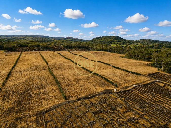 Terreno para Venda em Madalena Foto 3