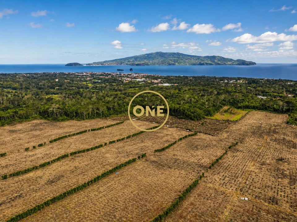 Terreno para Venda em Madalena Foto 4