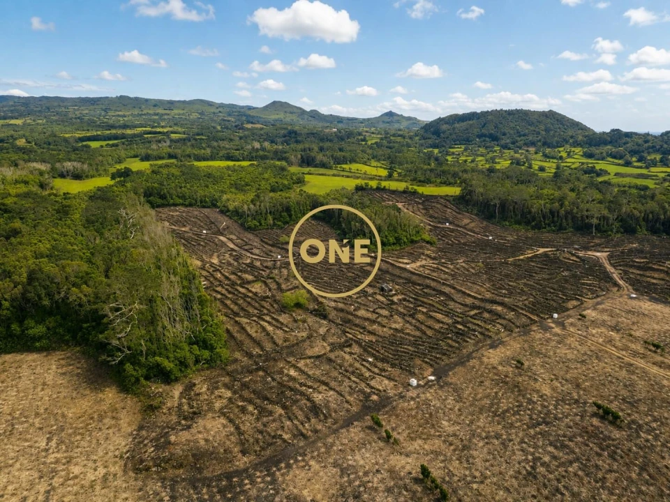 Terreno para Venda em Madalena Foto 2