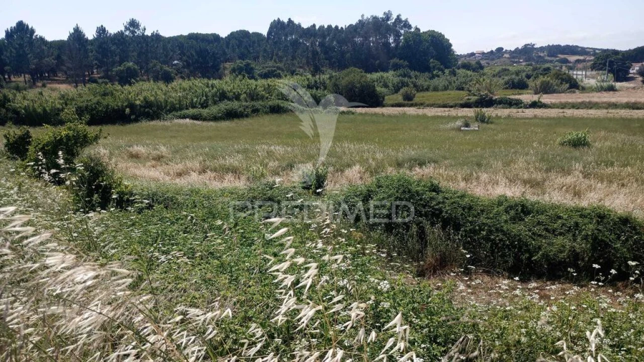 Terreno para Venda em Manique do Intendente, Vila Nova de São Pedro e Maçussa Foto 10