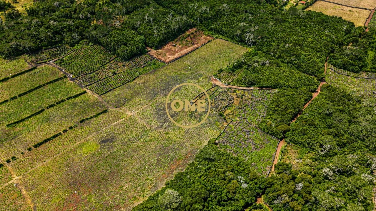 Terreno para Venda em Madalena Foto 5