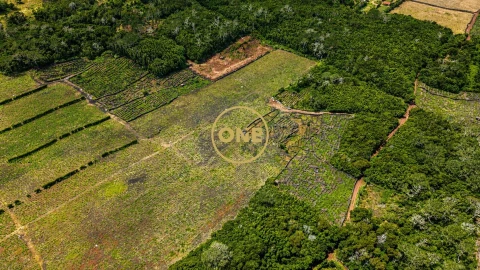 Terreno para Venda em Madalena