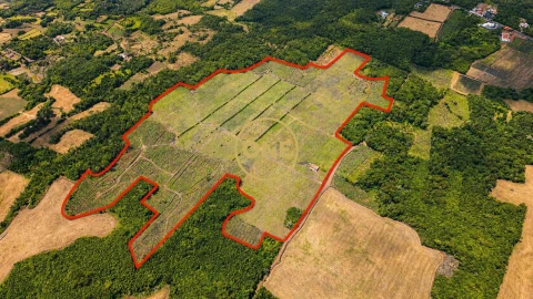 Terreno para Venda em Madalena