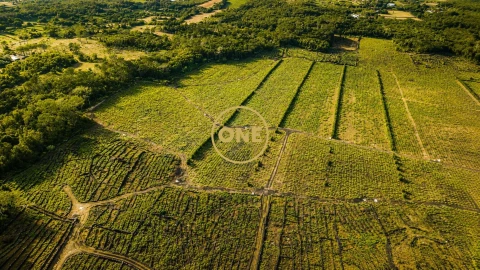 Terreno para Venda em Madalena