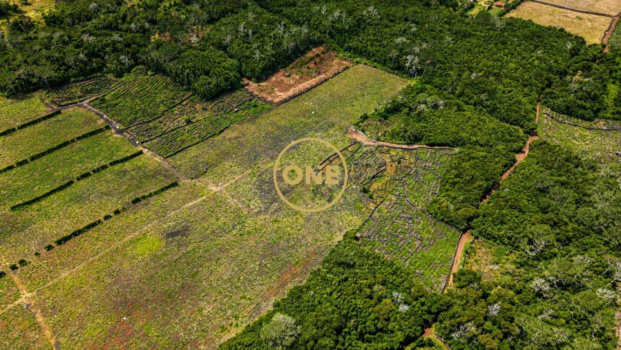 Terreno para Venda em Madalena Foto 5