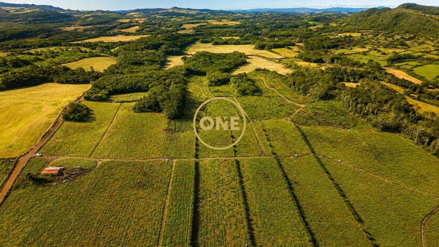 Terreno para Venda em Madalena Foto 6