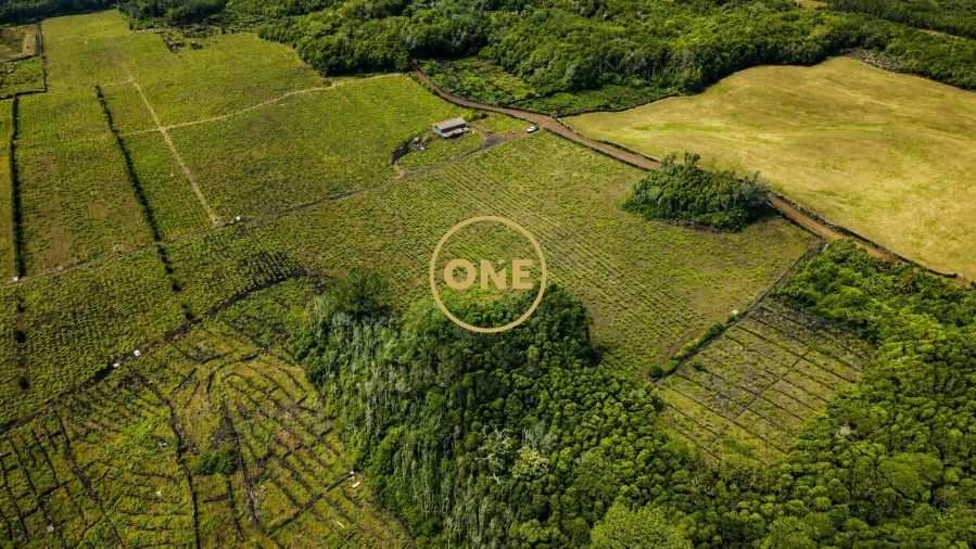 Terreno para Venda em Madalena Foto 3