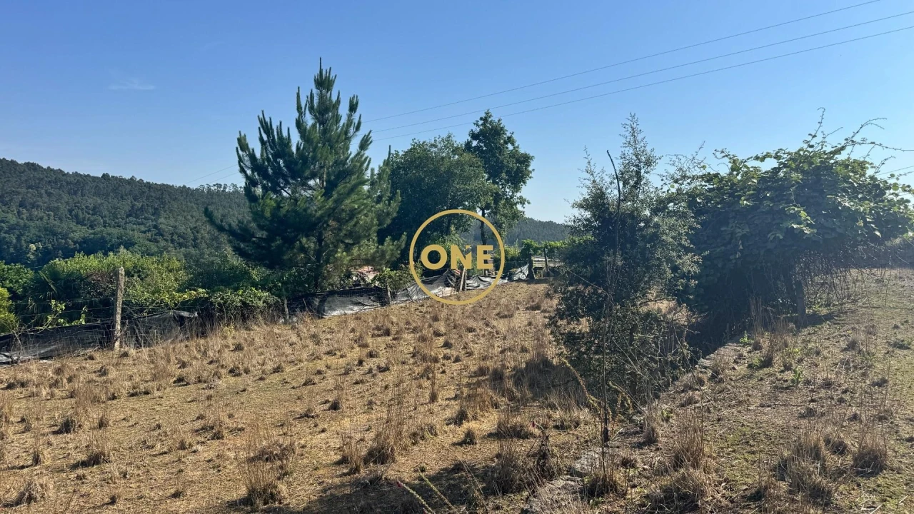 Terreno para Venda em Lemenhe, Mouquim e Jesufrei Foto 14
