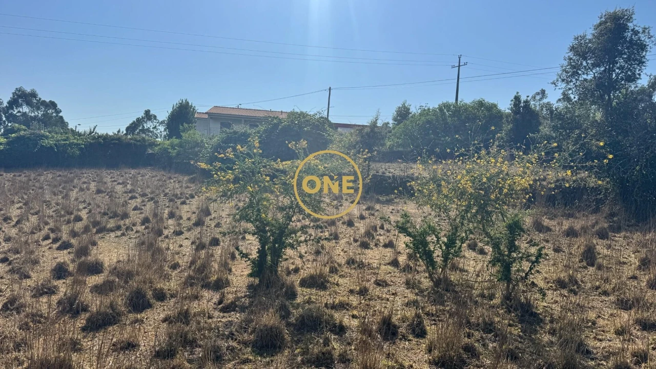 Terreno para Venda em Lemenhe, Mouquim e Jesufrei Foto 16