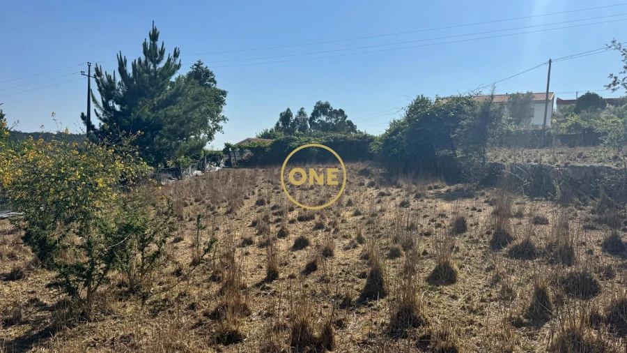 Terreno para Venda em Lemenhe, Mouquim e Jesufrei Foto 15