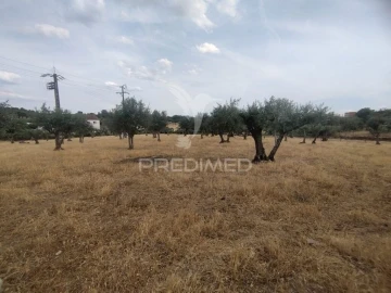 Moradia T2 para Venda em Alagoa