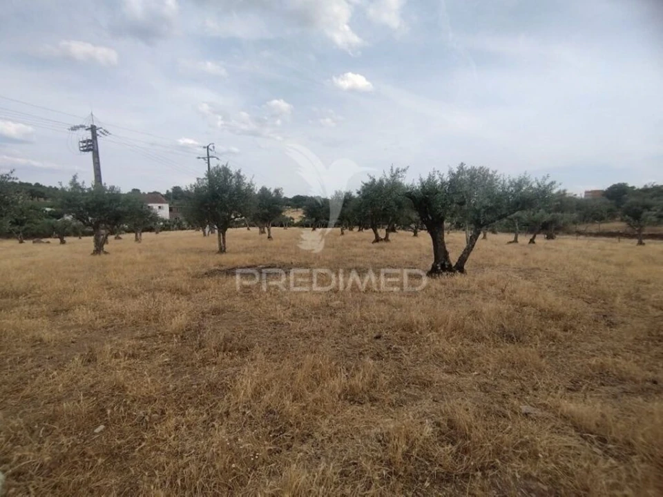 Moradia T2 para Venda em Alagoa Foto 9