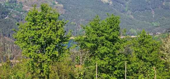 Moradia T3 para Venda em Salamonde