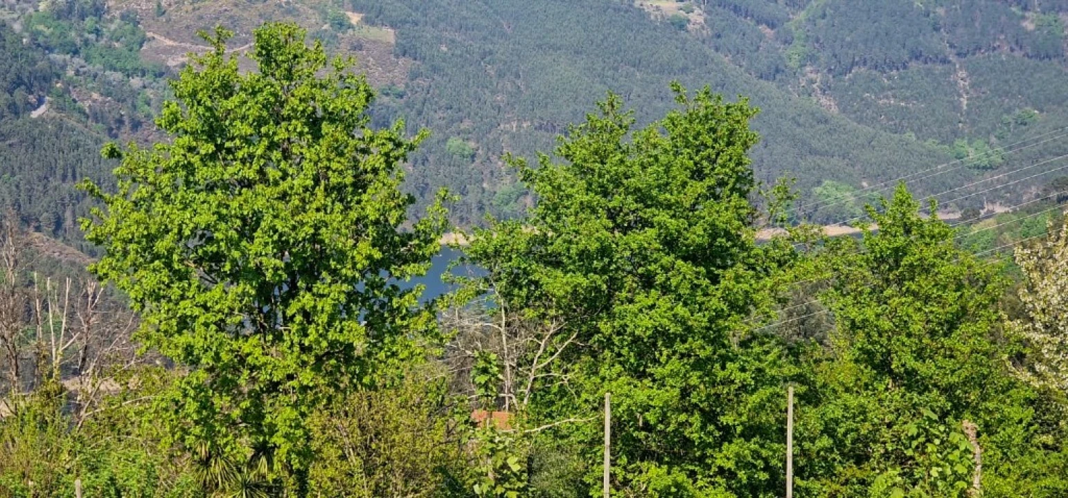 Moradia T3 para Venda em Salamonde Foto 40