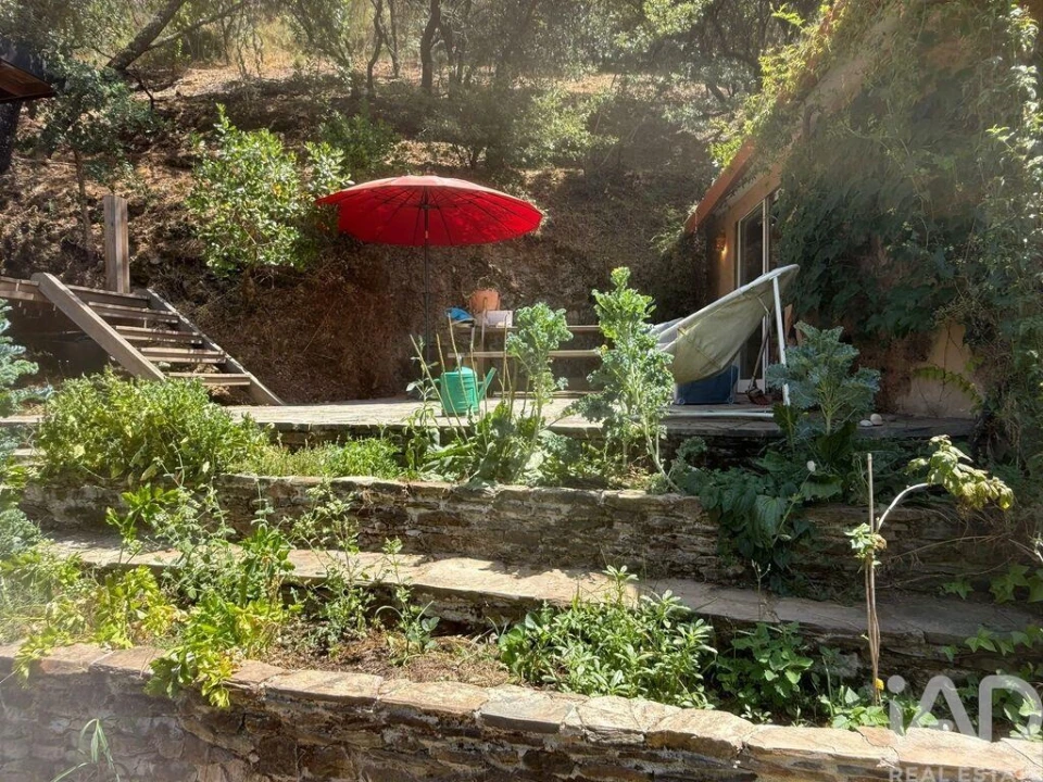Terreno para Venda em São Martinho das Amoreiras Foto 31