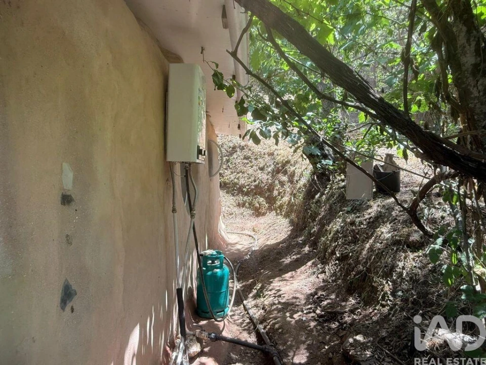 Terreno para Venda em São Martinho das Amoreiras Foto 24