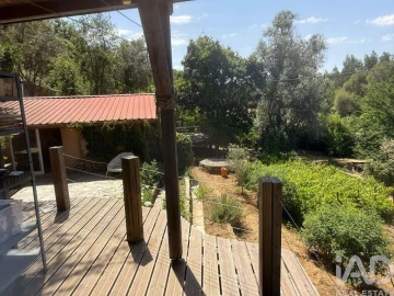 Terreno para Venda em São Martinho das Amoreiras