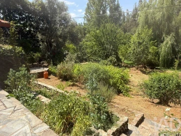 Terreno para Venda em São Martinho das Amoreiras