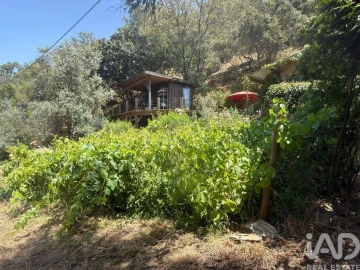 Terreno para Venda em São Martinho das Amoreiras