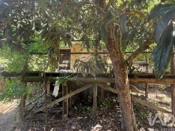 Terreno para Venda em São Martinho das Amoreiras