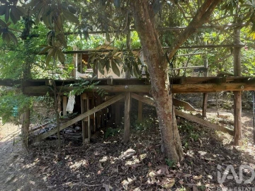 Terreno para Venda em São Martinho das Amoreiras