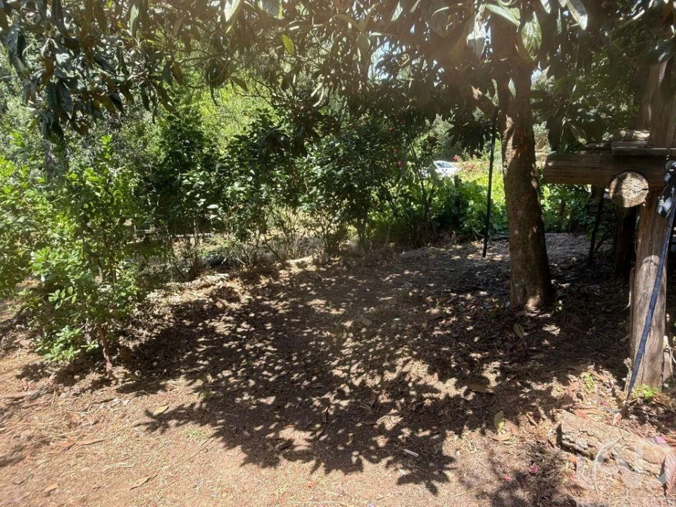 Terreno para Venda em São Martinho das Amoreiras Foto 25