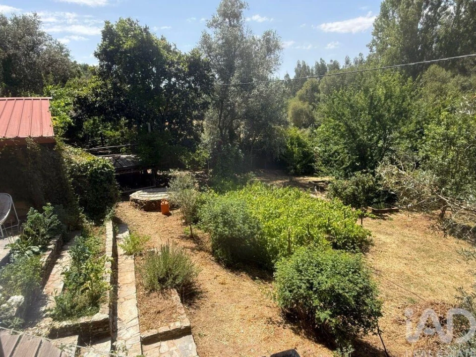 Terreno para Venda em São Martinho das Amoreiras Foto 3
