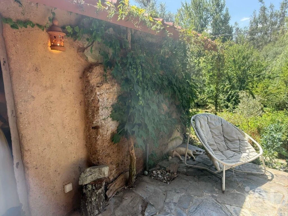 Terreno para Venda em São Martinho das Amoreiras Foto 6