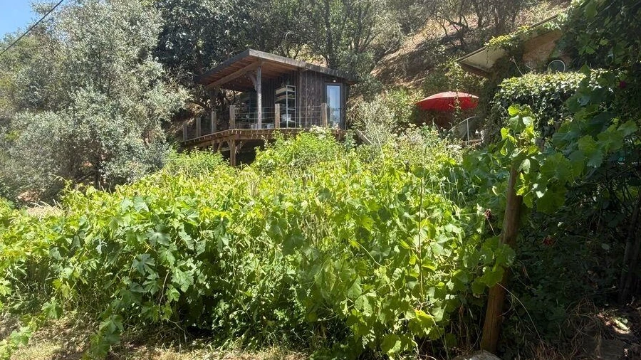 Terreno para Venda em São Martinho das Amoreiras