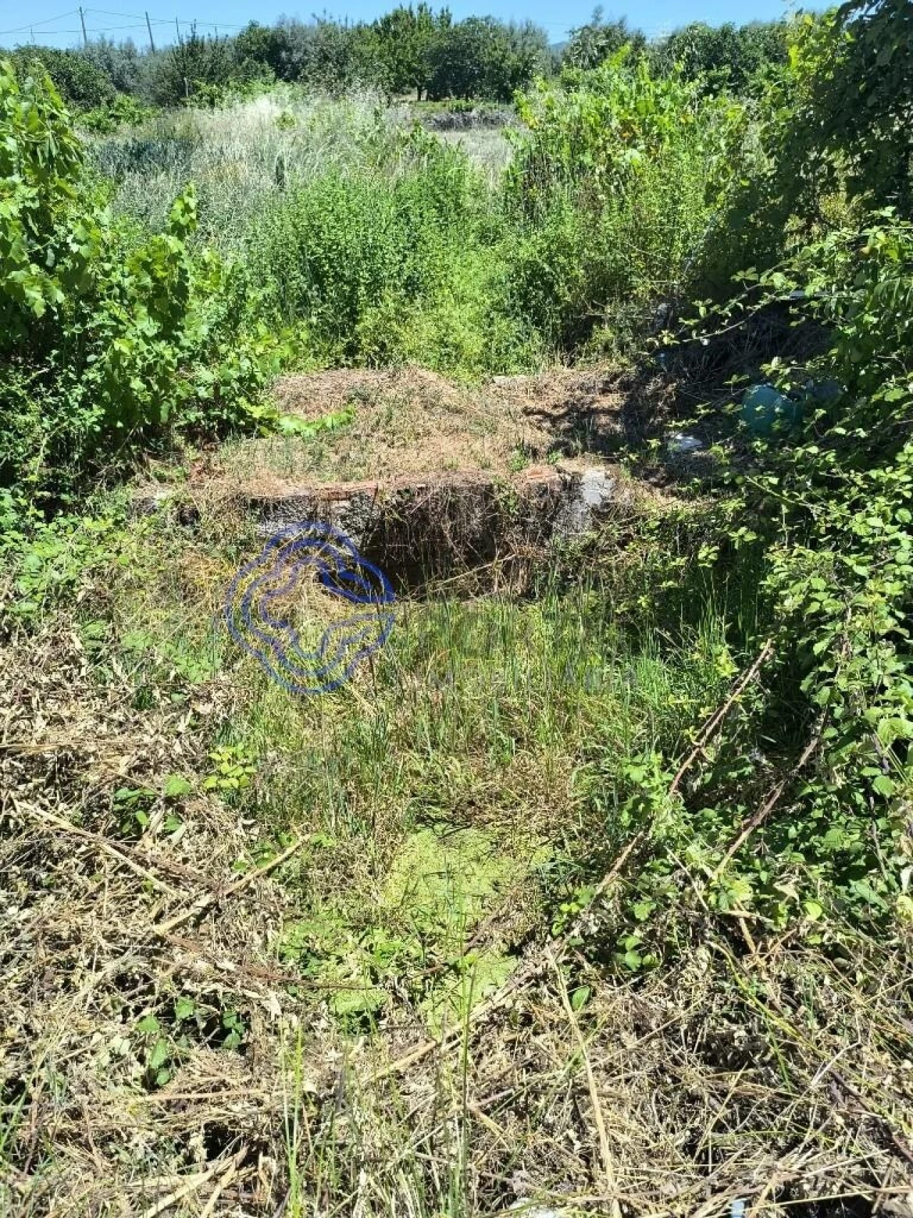 Terreno para Venda em Três Povos Foto 7
