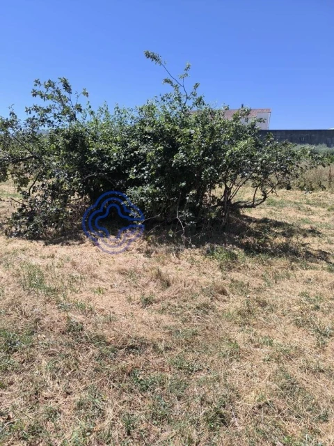 Terreno para Venda em Três Povos