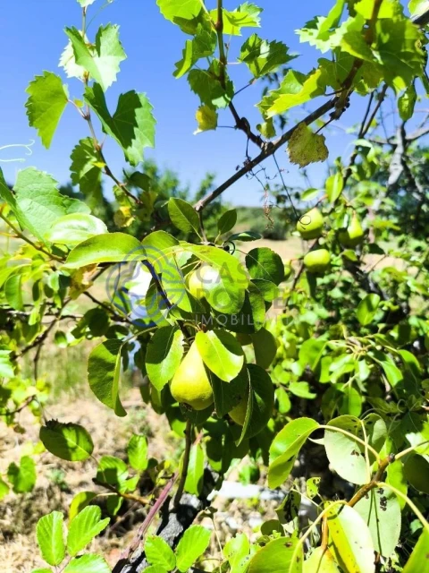 Terreno para Venda em Três Povos