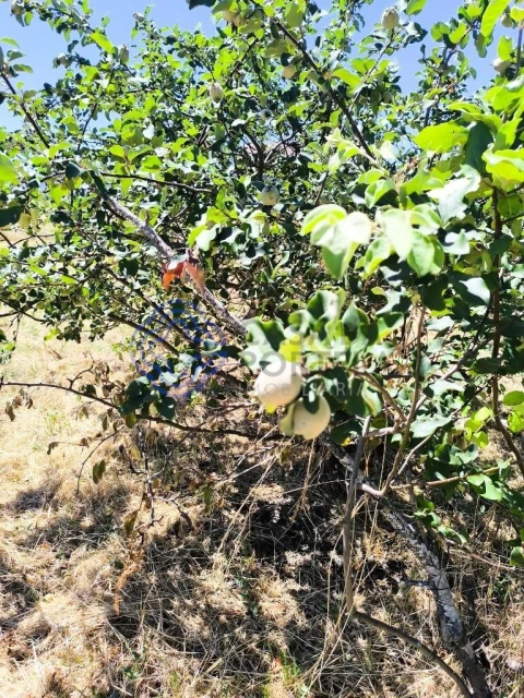 Terreno para Venda em Três Povos