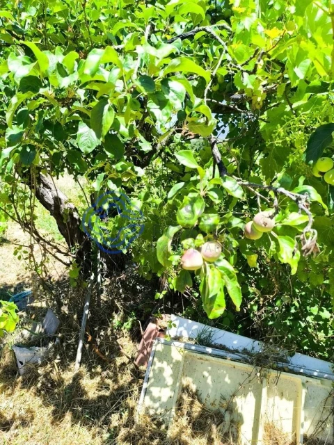 Terreno para Venda em Três Povos