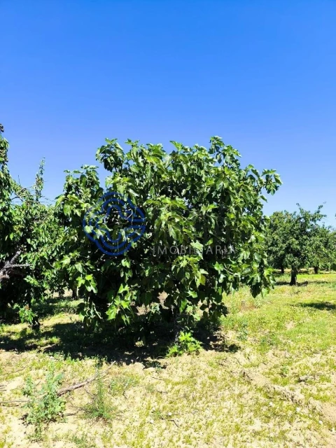 Terreno para Venda em Três Povos