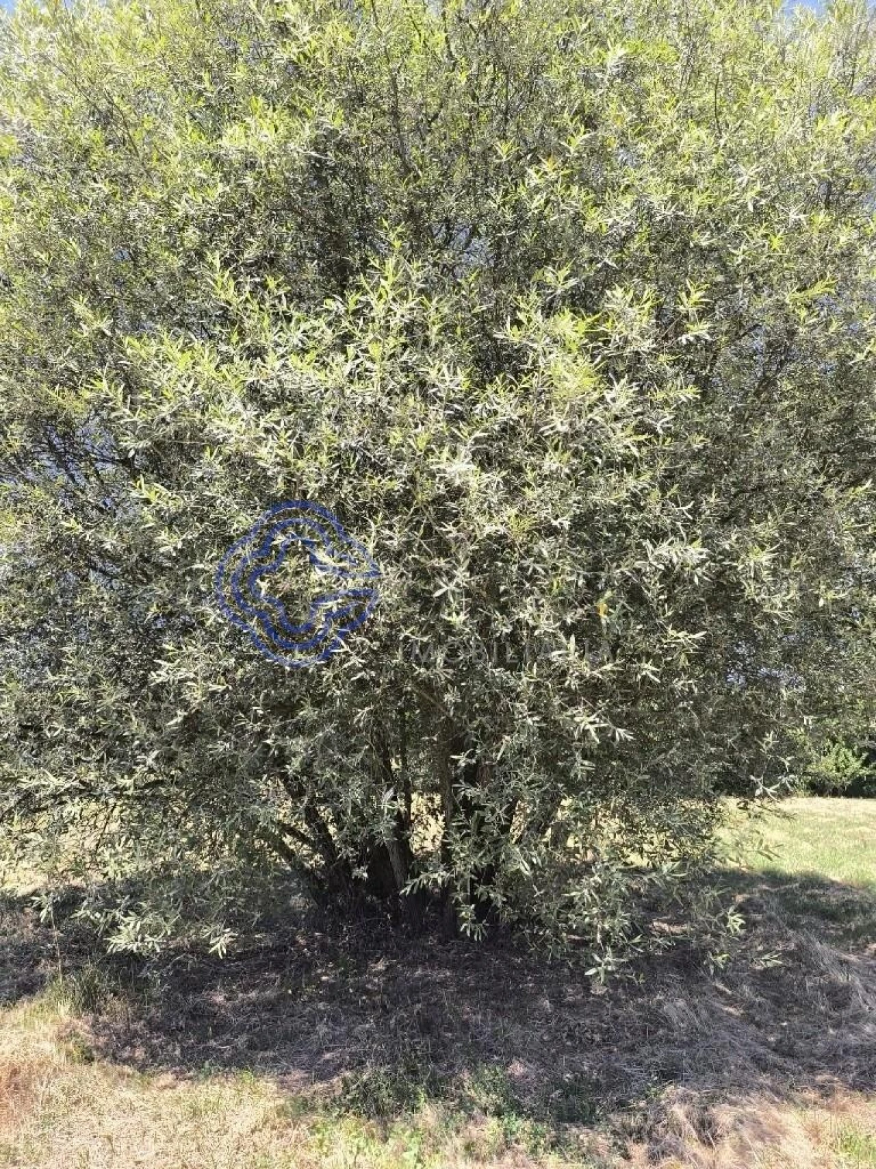 Terreno para Venda em Três Povos Foto 4