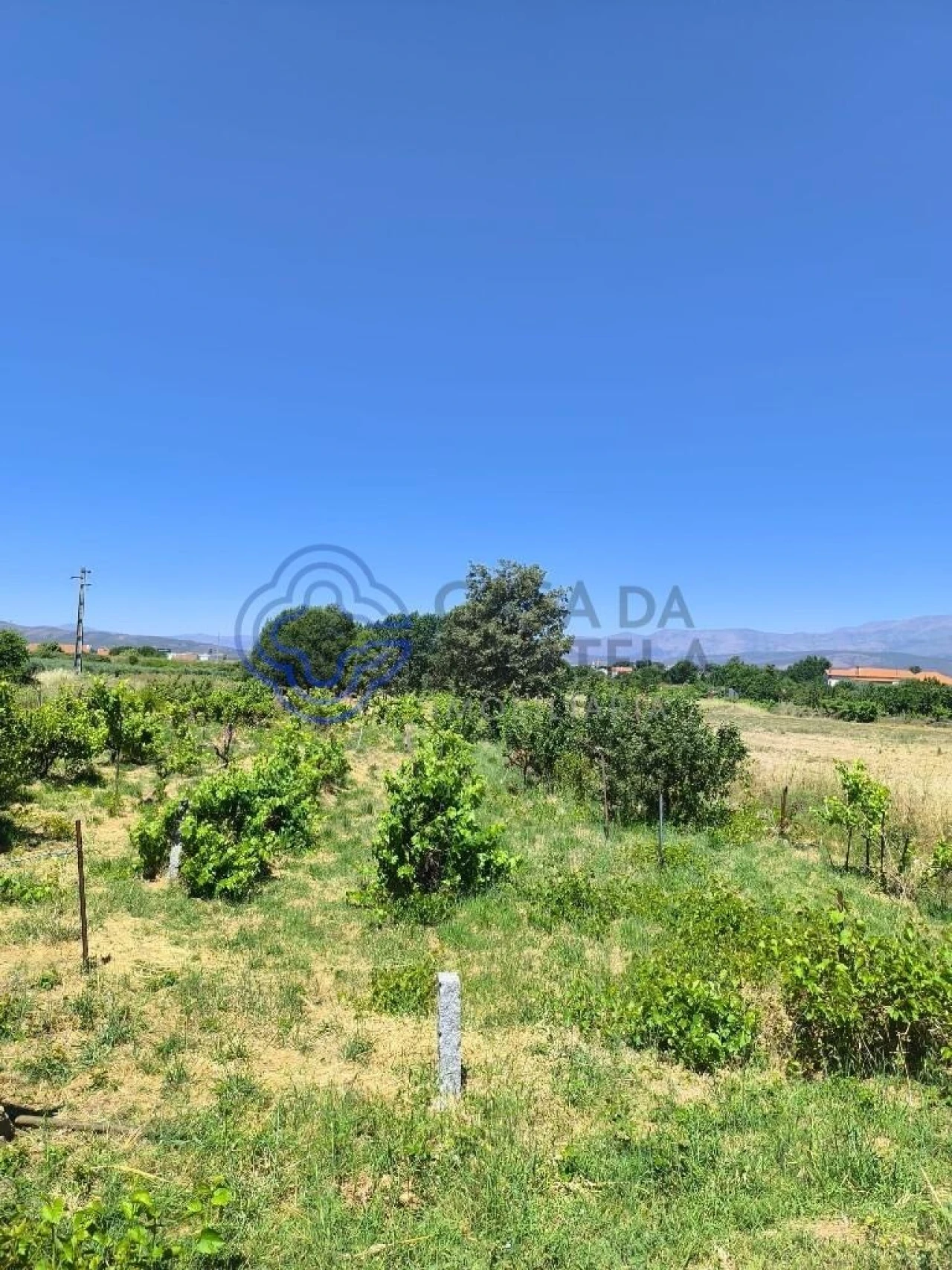 Terreno para Venda em Três Povos Foto 19