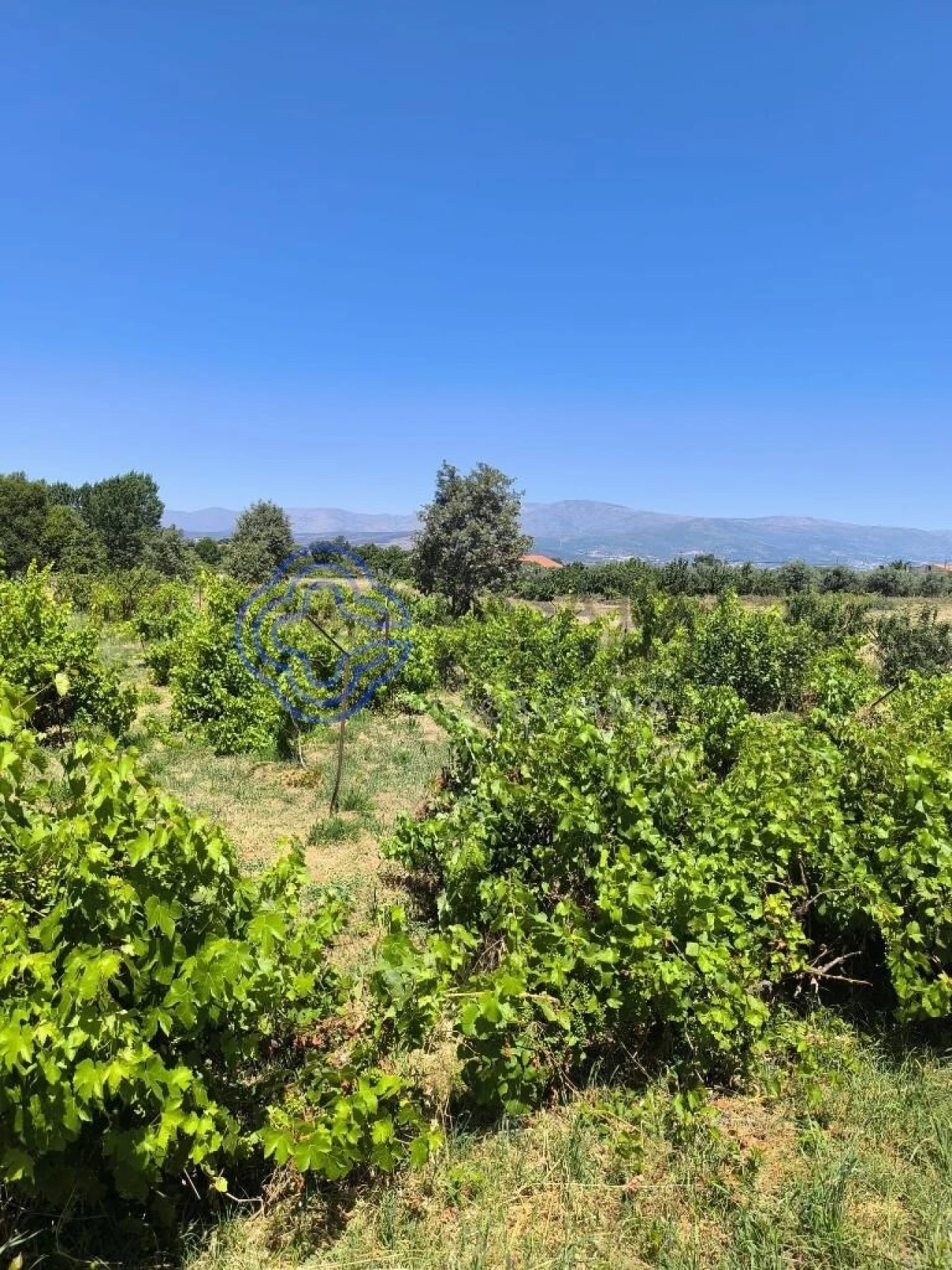 Terreno para Venda em Três Povos Foto 18