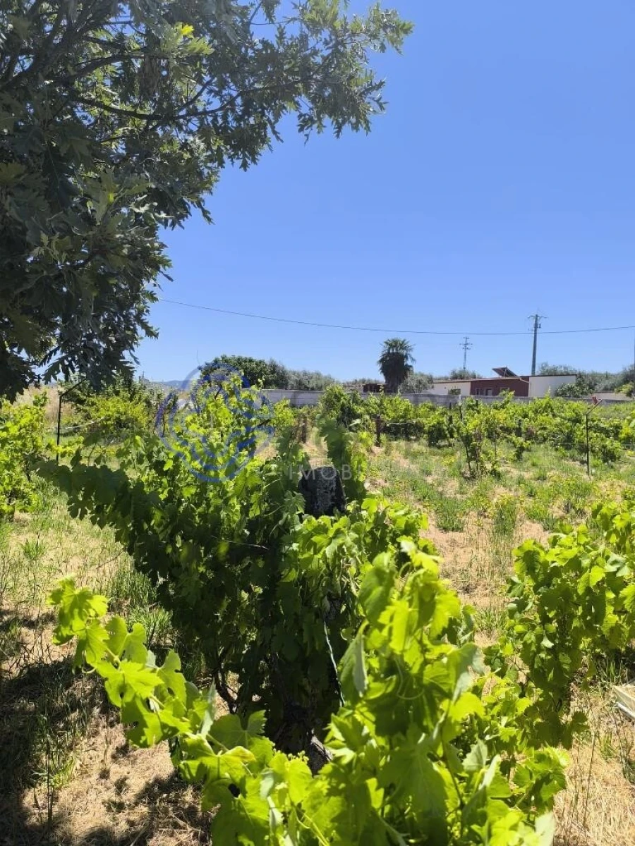Terreno para Venda em Três Povos Foto 22