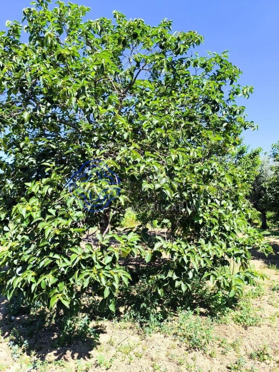 Terreno para Venda em Três Povos Foto 30